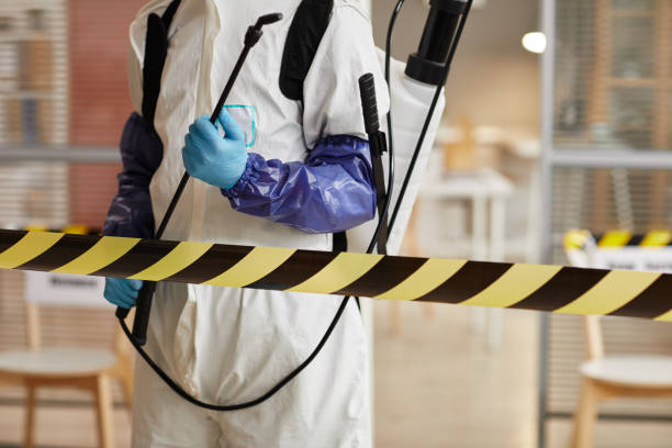 Professional Hoarding Cleanup technician working in Port Elizabeth, NJ